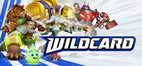 Wildcard